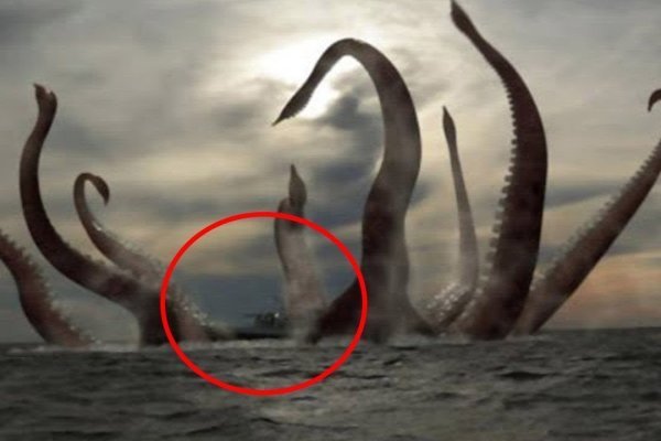 Кракен зеркало рабочее на сегодня