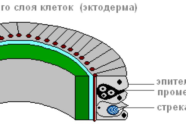 Kraken 17 at net