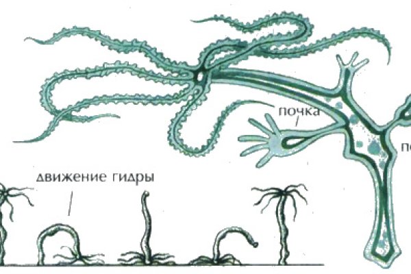 Кракен даркен