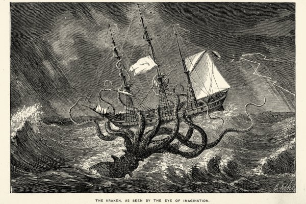 Hydra kraken