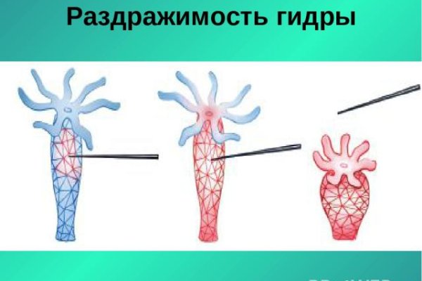 Кракен драг