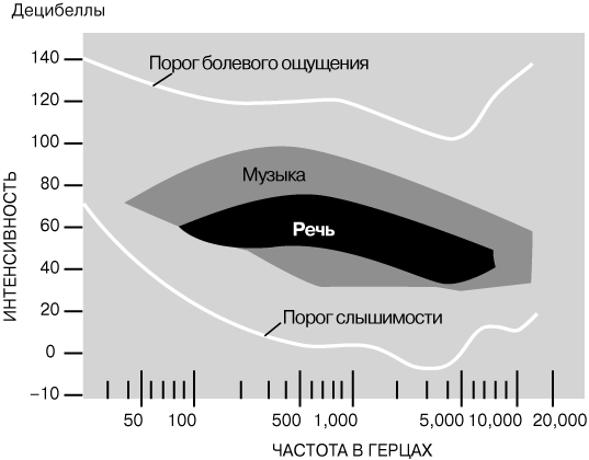 Услуги даркнета
